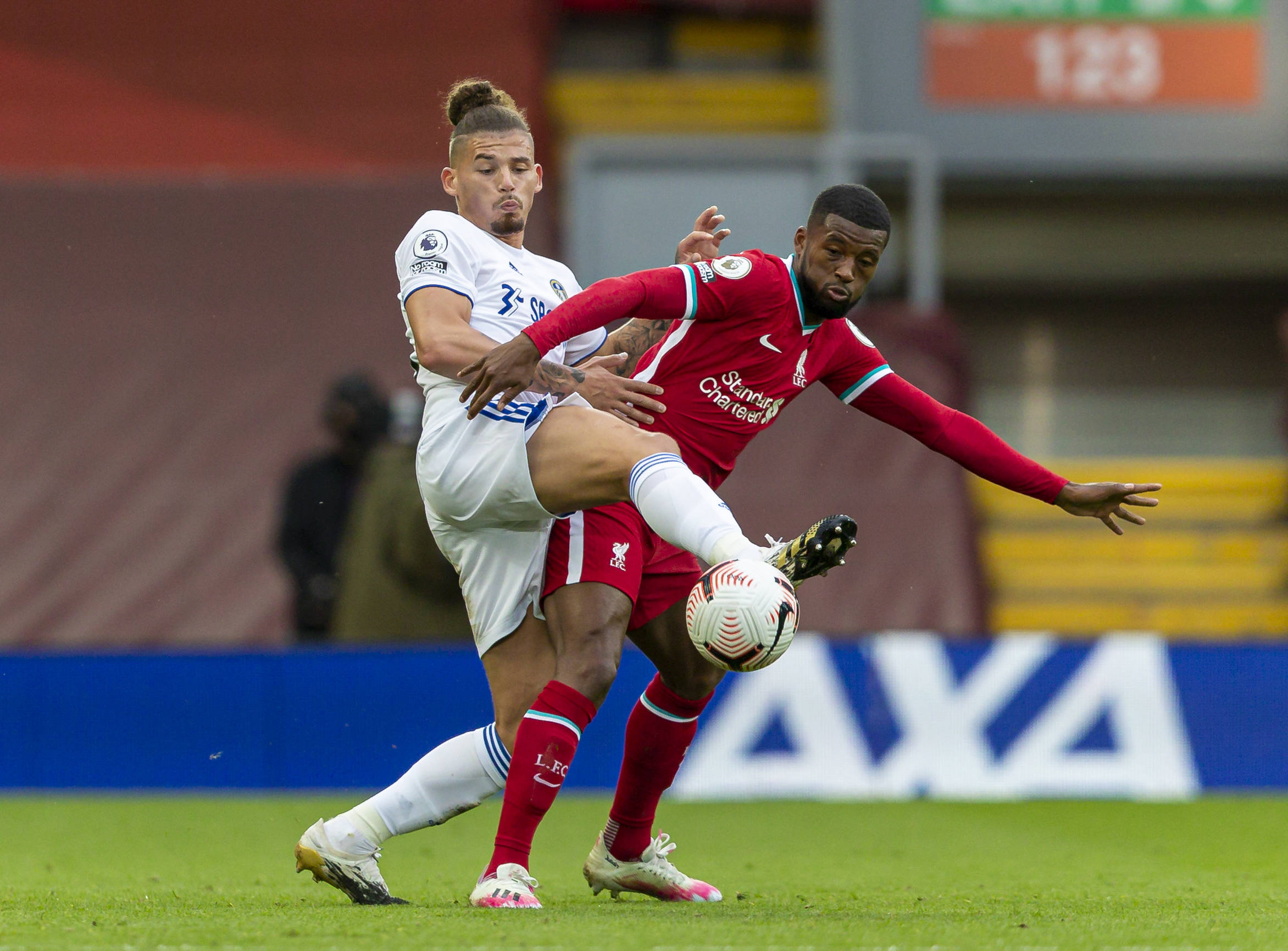 己的文化根 己的文化根